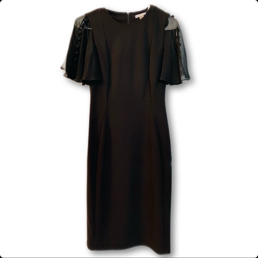 Calvin Klein Sheath Dress w/Short Sleeve Chiffon Flutter